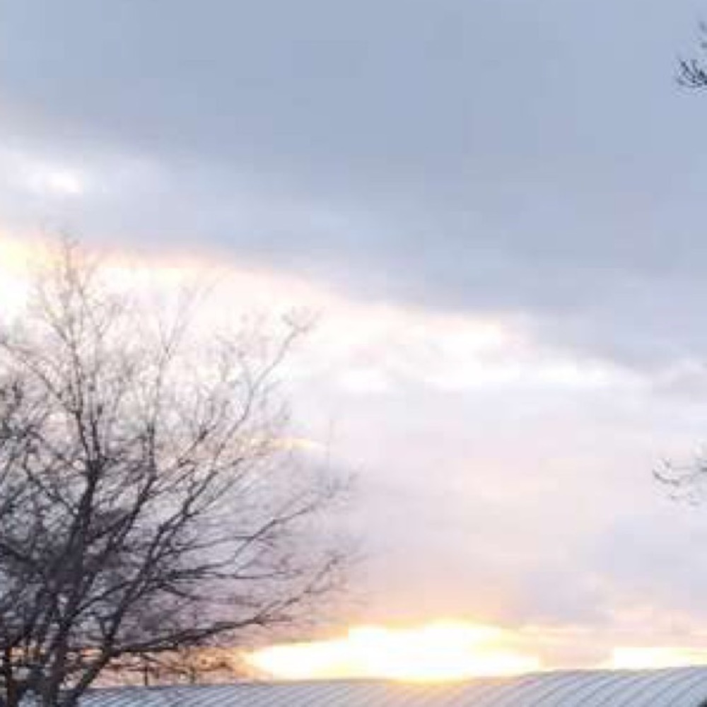 Meet your Posher, Bella